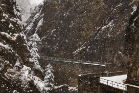 2-tracce umane e il ritorno della natura-2020