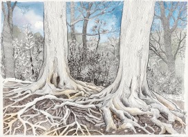 «Monte Verità, Wurzeln», 70 x 50 cm, Tusche & Aquarelle, 2019