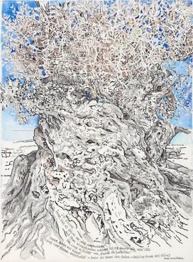«Olivenbaum- Friedensbaum Griechenland», Gedicht Rosa Ausländer, 100 x 70 cm, Tusche, Farbstifte & Aquarelle, 2022