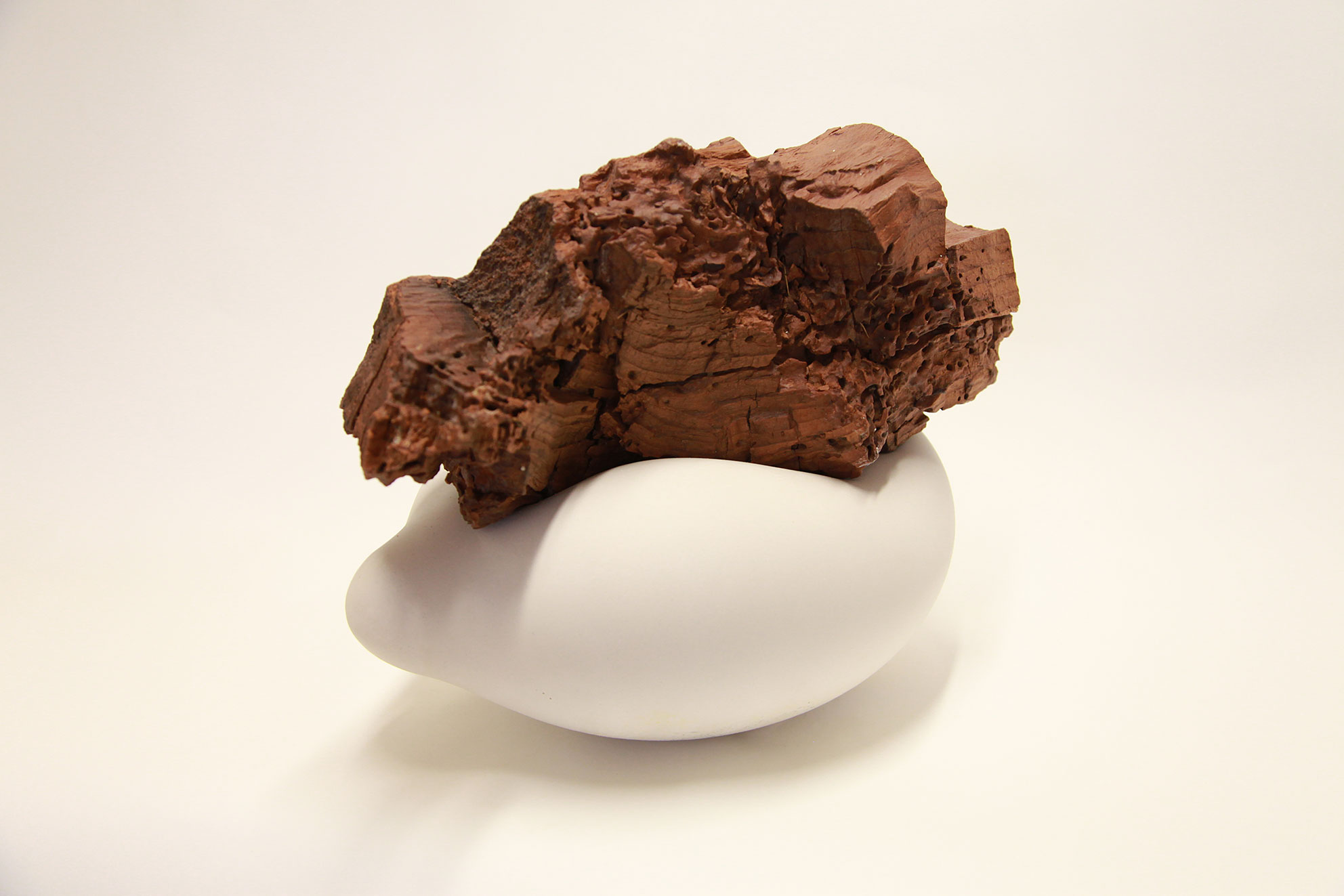 Zeder von Gersau (2014) Gips und Zedernholz (32x38x27 cm)